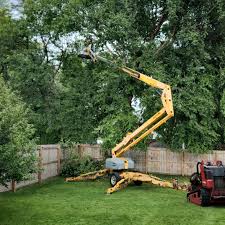 Best Hedge Trimming  in Blue Point, NY